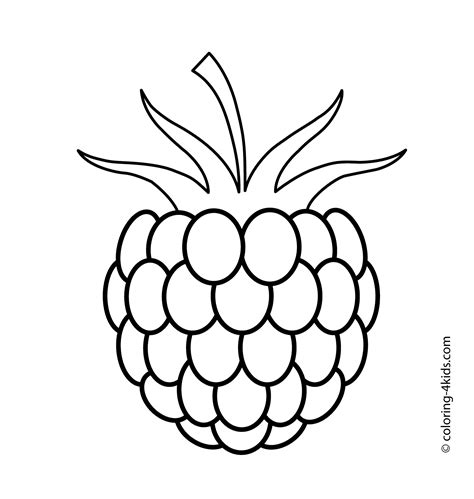 raspberry fruits  berries coloring pages  kids printable