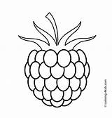 Coloring Raspberry Fruits Printable Fruit Pages Berries Kids Drawing Board Choose Da Draw sketch template
