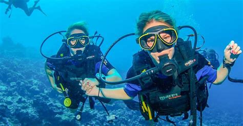 discover scuba diving  dubai getyourguide