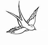 Sparrow Drawing Simple Tattoo Getdrawings Graphics Code Comments Drawings Paintingvalley Choose Board sketch template
