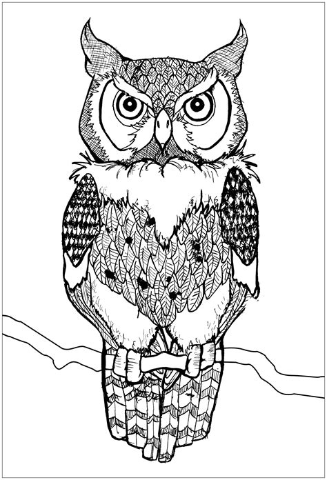 printable coloring pages  owls printable word searches