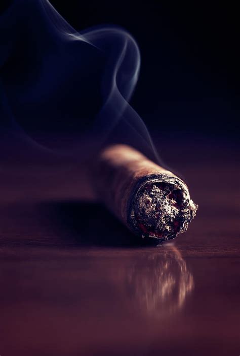 Fuming Havana Cigar 2 Photograph By Vadim Goodwill