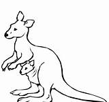 Kangaroo Printable Coloring Pages Preschool Kids Drawing Easy Getdrawings Getcolorings sketch template