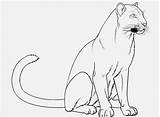 Panther Getdrawings Loudlyeccentric sketch template