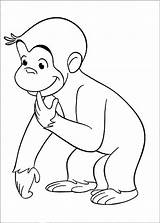 Affe Monkey Kartun Mewarnai Monyet Lucu Coco Tokoh Affen Malvorlagen Tiere Curioso Neugierige Gorilla Terlengkap Binatang Warnaigambartk Supplies Bestappsforkids sketch template