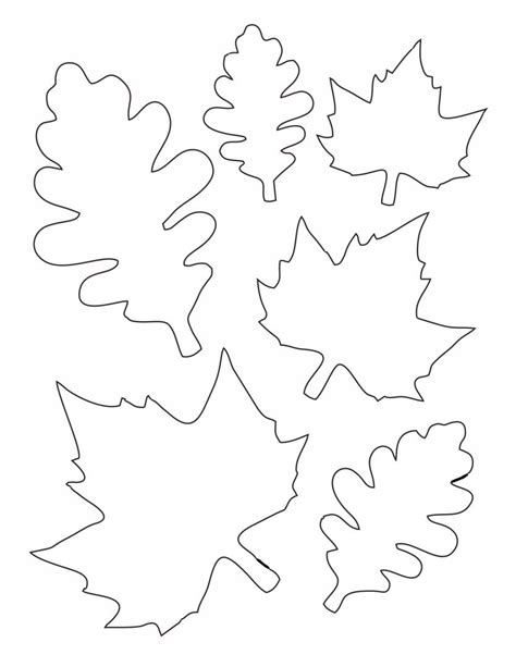 leaf templates  printable templates coloring pages firstpalette
