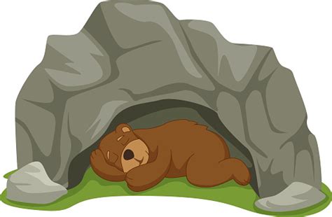 vector illustration of cartoon sleeping bear in cave 갈색에 대한 스톡 벡터 아트 및