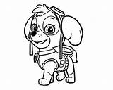 Paw Patrol Coloring Pages Skye Clipart Drawing Zuma Marshall Color Printable Line Getcolorings Clipartmag Comments Print Colo Coloringhome sketch template