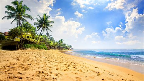 papeis de parede  tropico costa ceu mar palmeira areia nuvem praia naturaleza baixar