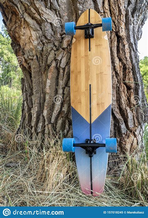 Cruising Longboard Against Tree Stock Image Image Of Skateboard