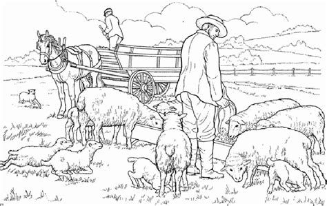 farm life coloring pages sheeps heeding bulk color   farm