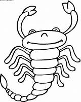 Scorpion Skorpion Ausmalbilder Scorpions Zodiac Scorpio Coloriage Imprimer Alacranes Skorpione Supercoloring Spinnen Ausmalbild Escorpiones Preschoolcrafts Chachipedia Getdrawings sketch template