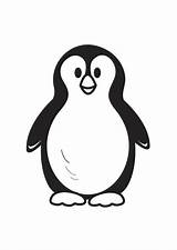 Pinguin Malvorlage Ausdrucken Ausmalbilder Bild Pinguinos sketch template
