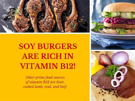 Top 10 Vitamin B12 Foods