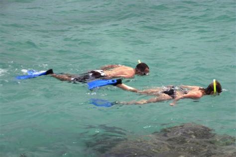 barbados snorkeling best barbados vacation packages