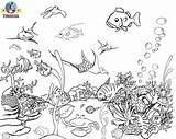 Coloring Pages Sea Ocean Animal Sheets Animals Under Kids Fish Drawing Choose Board Aquatic sketch template