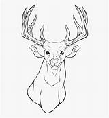 Deer Coloring Tattoo Head Simple Designs Pages Clipartkey sketch template
