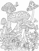 Mushrooms Adult Trippy Psychedelic Mandala Pilze Malvorlagen Sheets Toadstools Mandalas Herbst Detailed Marlar Frog Stoner Grunge Ausmalbilder Adultcoloringpages Erwachsenen sketch template