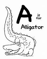 Coloring Letter Animal Alligator Pages Zoo Printable Alphabet Sheets Color Preschool Letters Abc Activities Inspirations Little Animals Week Kids There sketch template