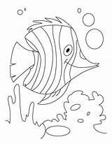 Coloring Water Pages Fish Kids Animals H2o Colouring Flutter Monet Plants Color Cycle Just Add Sheets Printable Claude Drawing Underwater sketch template