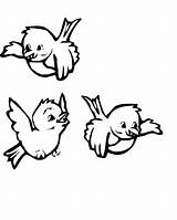 Birds Coloring Pages Printable Kids Bird Printables Winter Borders Printablee Via sketch template