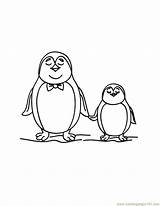 Penguin Coloring Pages Printable Sliding Kids Template sketch template
