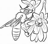 Bee Coloring Pages Honey Printable Template Drawing Color Bees Flower Kids Cute Print Cliparts Flowers Templates Clipart Lovers Drawings Library sketch template