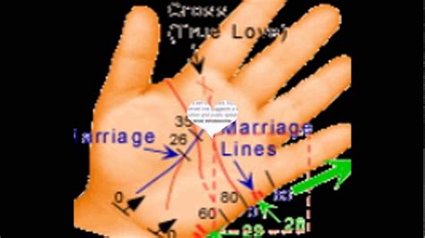 Marriage Line In Palmistry Youtube