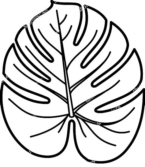 jungle leaf coloring pages