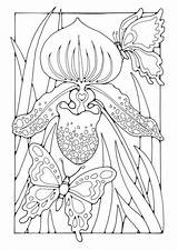 Lily Stargazer Coloring Getcolorings Butterflie sketch template
