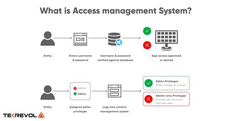 detailed insight    access management system