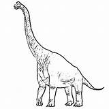 Brachiosaurus Coloring Kids Pages Colouring Color Printable Getcolorings sketch template
