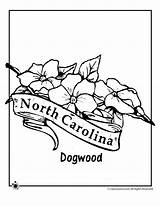 Coloring Flower Carolina North State Pages South Activities Jr Tattoo Dogwood Kids Colouring Woojr Flowers Woo sketch template