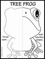 Amphibians Symmetry Reptiles Straw sketch template