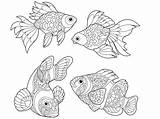 Poissons Coloriages sketch template