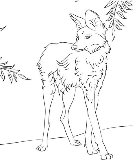 cute maned wolf coloring pages coloring cool