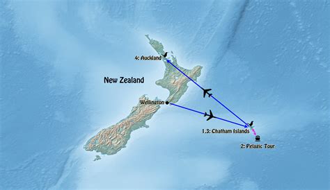 zealand chatham islands extension