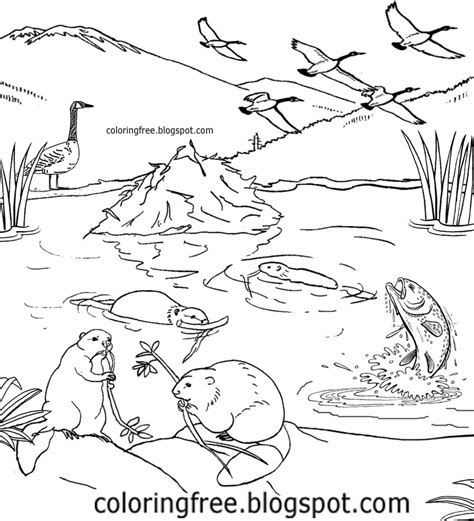 printable canada coloring city  countryside wildlife drawings