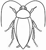 Cucaracha Cockroach Pintar sketch template