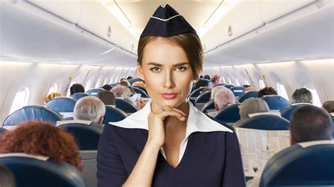 confessions of a pissed off flight attendant