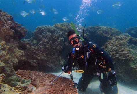 fujairah uae east coast diving trip  dive  tank weights