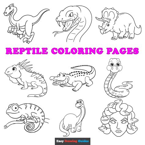 coloring pages  reptiles  amphibians