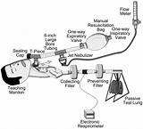 Tracheostomy Endotracheal Aerosol Experimental Resuscitation Interfaces Vitro sketch template