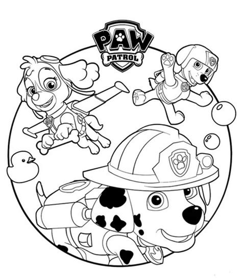 skye paw patrol  coloring page  printable coloring pages  kids