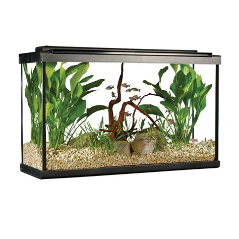 tetra glass aquarium kit  gallon meijer ubicaciondepersonascdmx