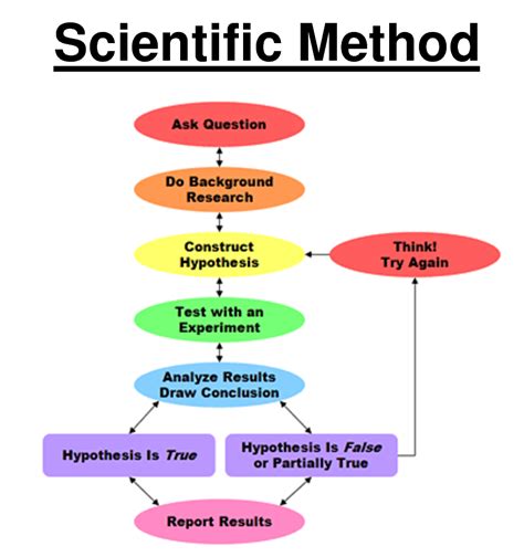 scientific method template