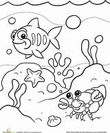 Coloring Sea Under Pages Ocean Color Kids Life Preschool Drawing Colouring Clipart Sheets Fish Printable Animal Disney Education Books Worksheets sketch template