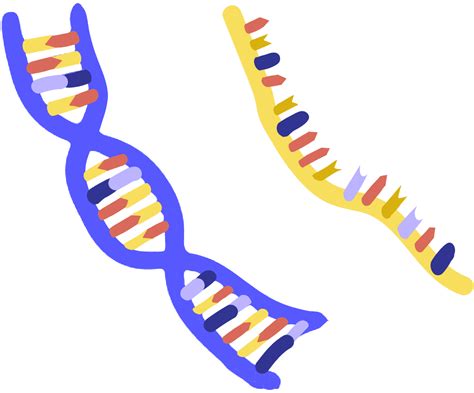 nucleic acid innovative genomics institute igi