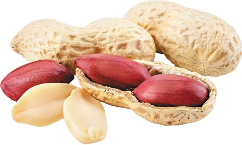 legume   month peanuts harvard health