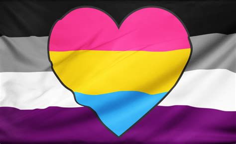 Asexual Panromantic Flag – Pride Nation